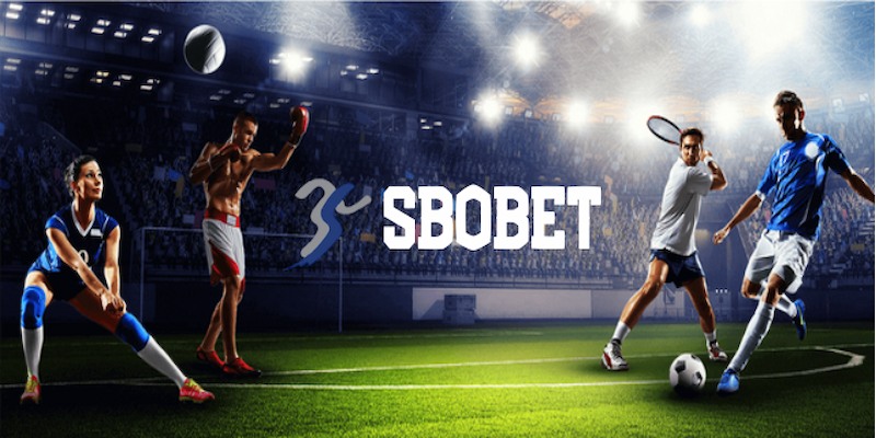 SBOBET tại nền tảng sở hữu nhiều ưu điểm xịn sò